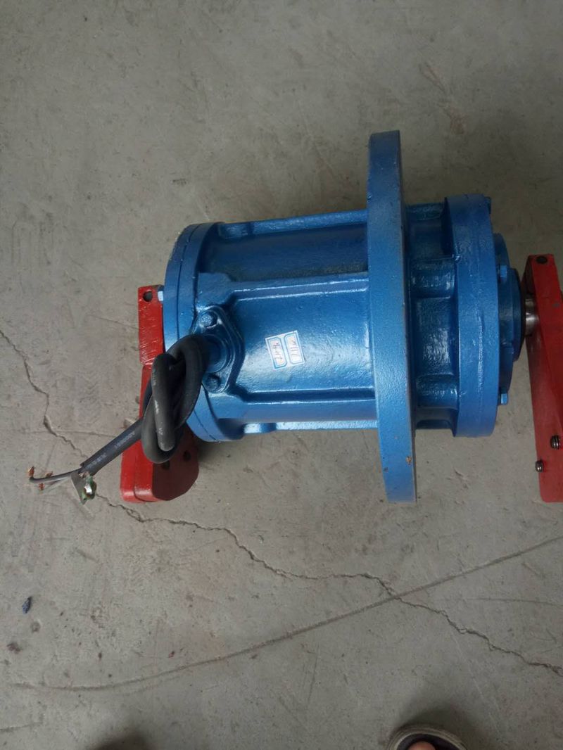 立式振動(dòng)電機(jī)1 (3)